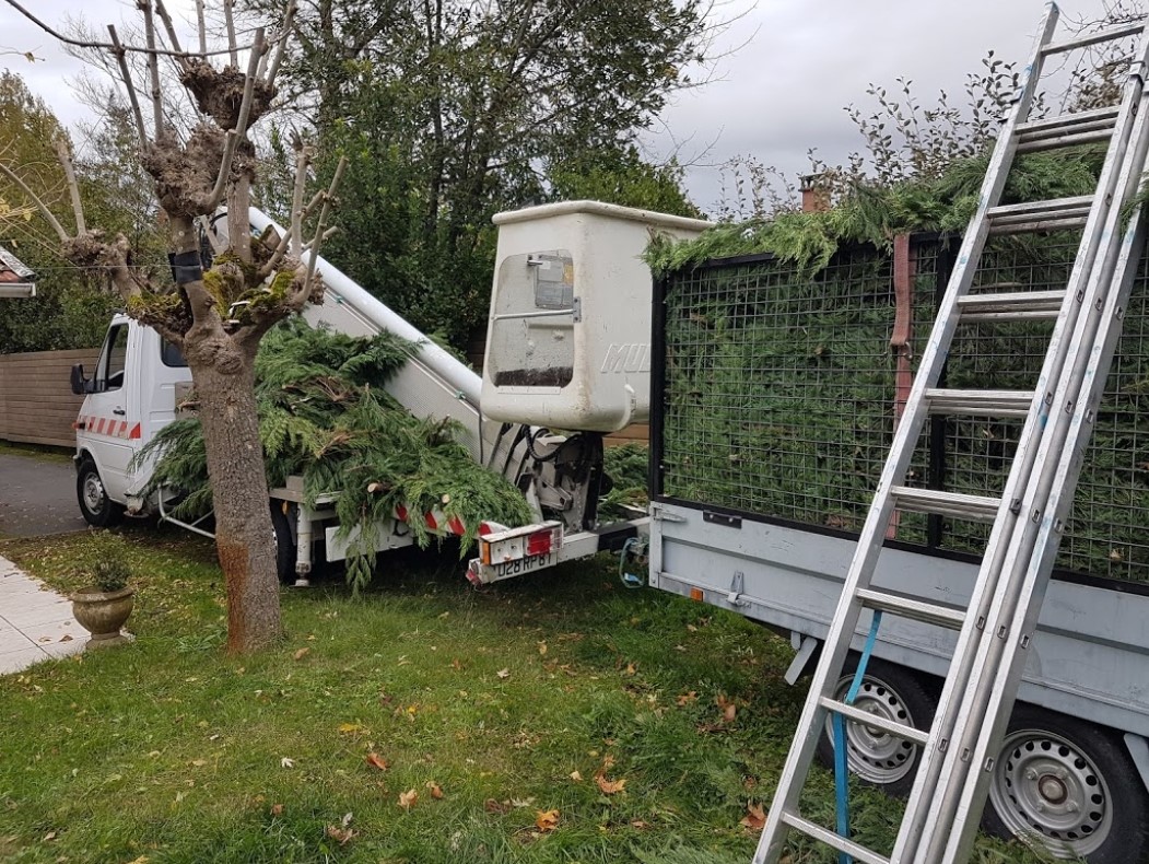 Camion d&rsquo;elagage charge de branches de conifere apres taille
